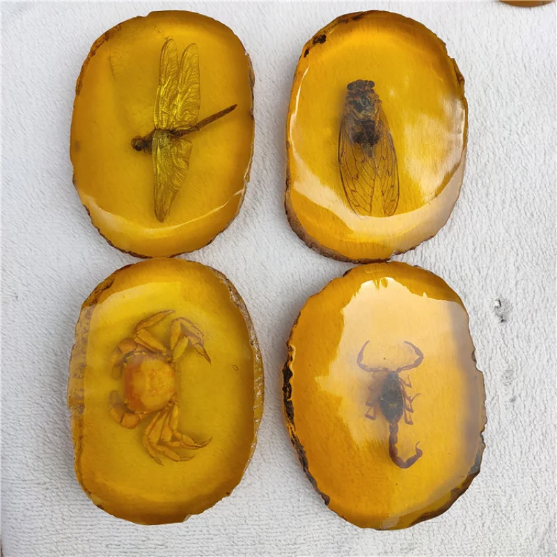 Antique Miscellaneous Antique Crafts Resin Amber Insect Dragonfly Knows Scorpion Crab Butterfly Specimens Ornaments