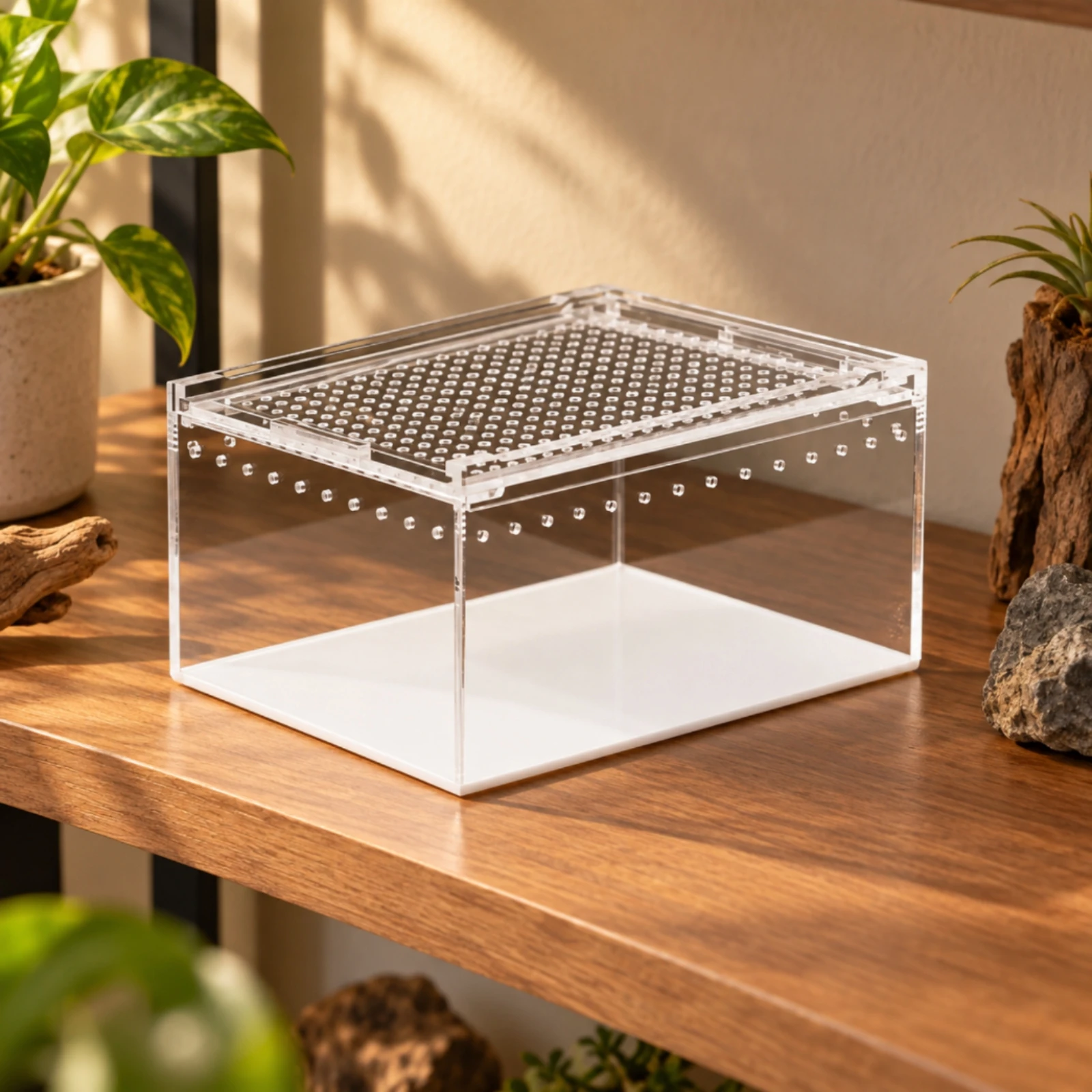 Amphibian Tank Compact Clear PC Reptile Enclosure Small Reptile Feeding Box with Top Access Space-Saving for Planted Terrariums