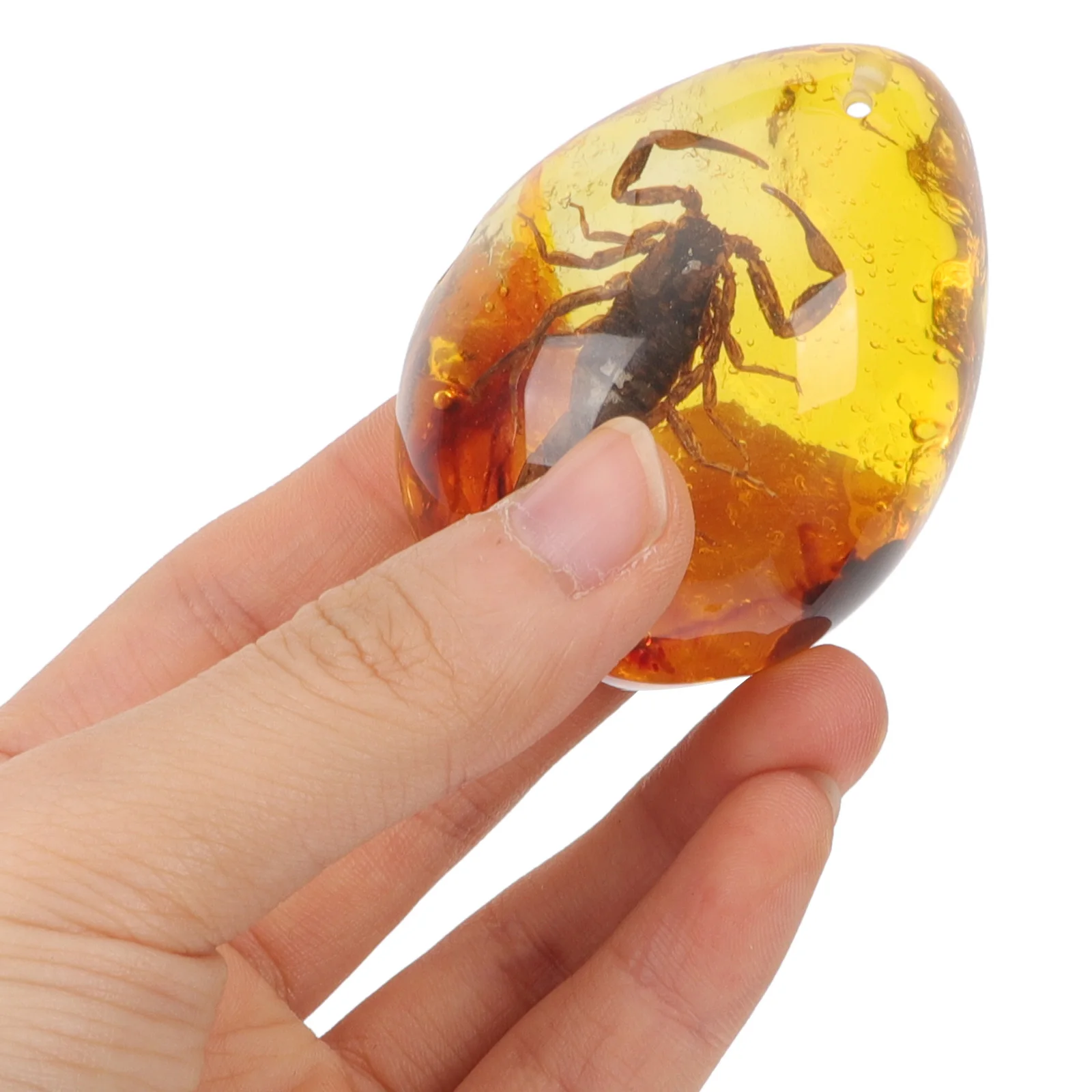 4 Pcs Insect Amber Specimen Specimens Pendants Crafts Bugs Decorations Decorative Oval