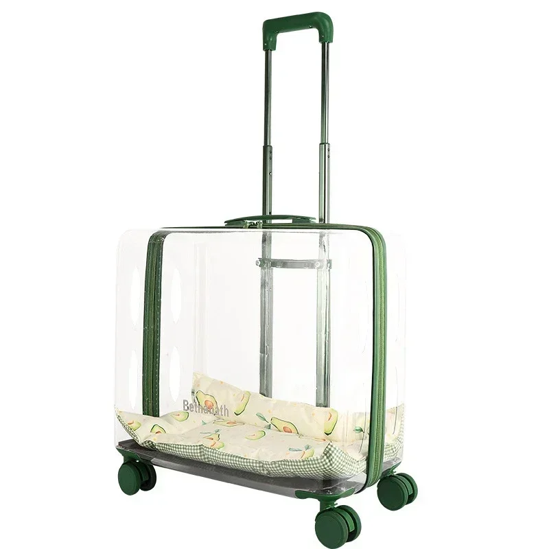 TAO Caja de viaje moderna para mascotas, transparente con vista amplia bolsa de transporte, bolso portátil de gran capacidad