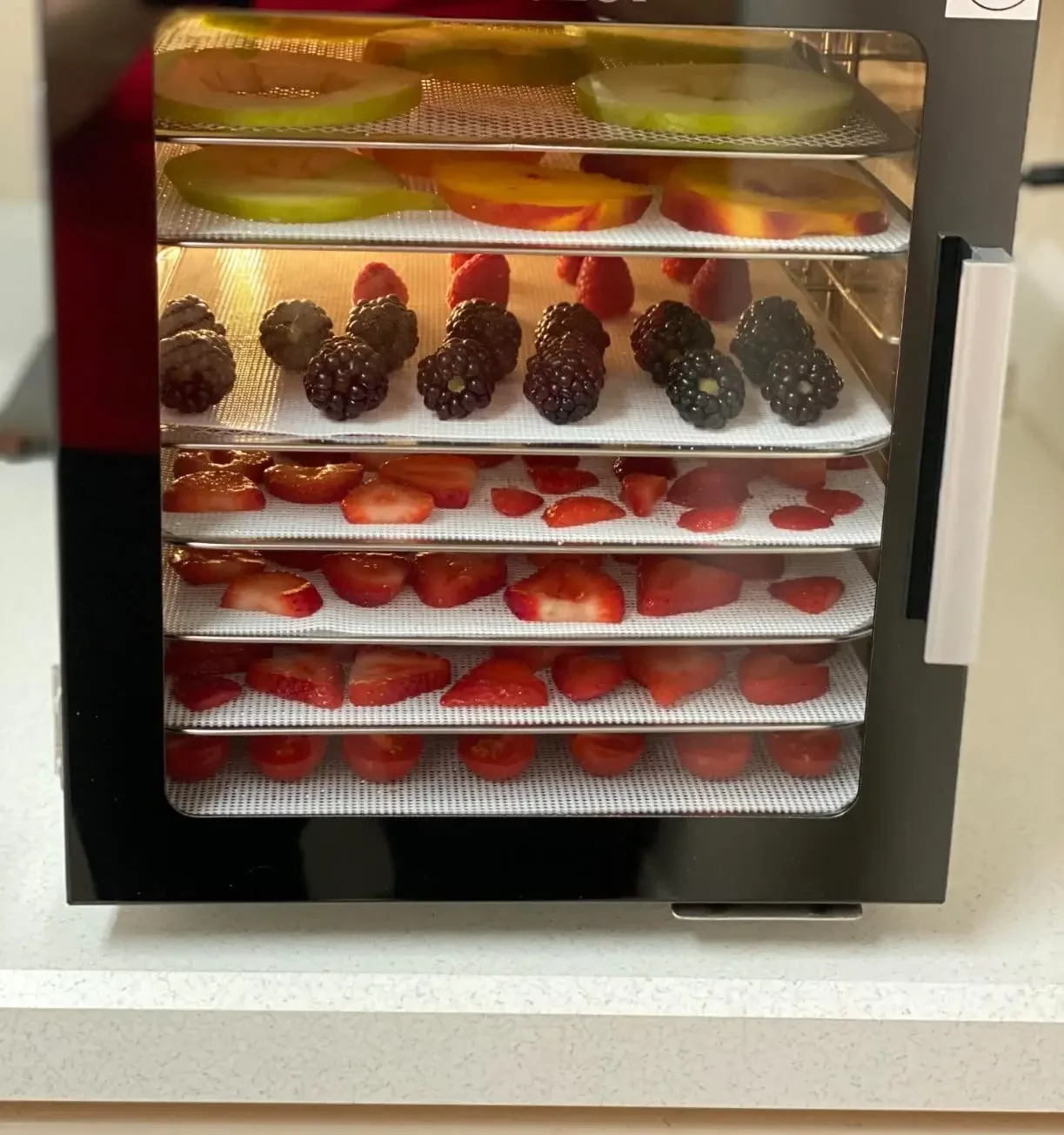 2 pçs folha de silicone almofada de vapor antiaderente alimentos desidratador de frutas esteiras malha quadrada desidratador bandeja esteira de vapor para secador de frutas