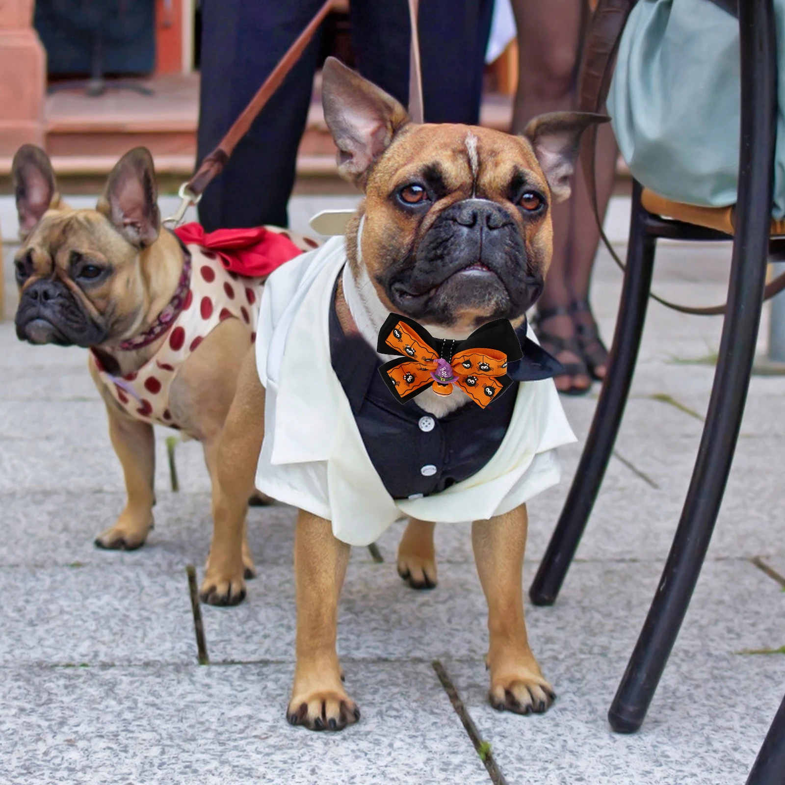 

Pet Bow Tie Bell Necklace Dog Collar Puppy Halloween Costume Cat Party Favor Supplies