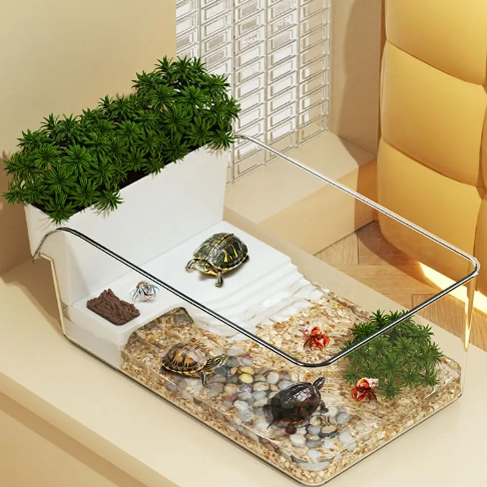 Transparent Turtle Tank with Basking Area Ecological Landscaping Reptile Terrarium Habitat Sun Climbing Landscape Turtle Tank view 5