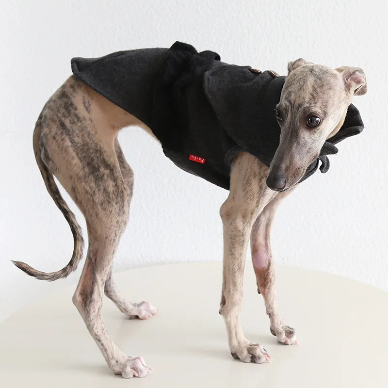 

Mutihome 2026 Fashion Dog Clothes Fleece Windbreaker Cloak Italian Little Lingti Huibit Dog Clothes Warm Pet Clothes