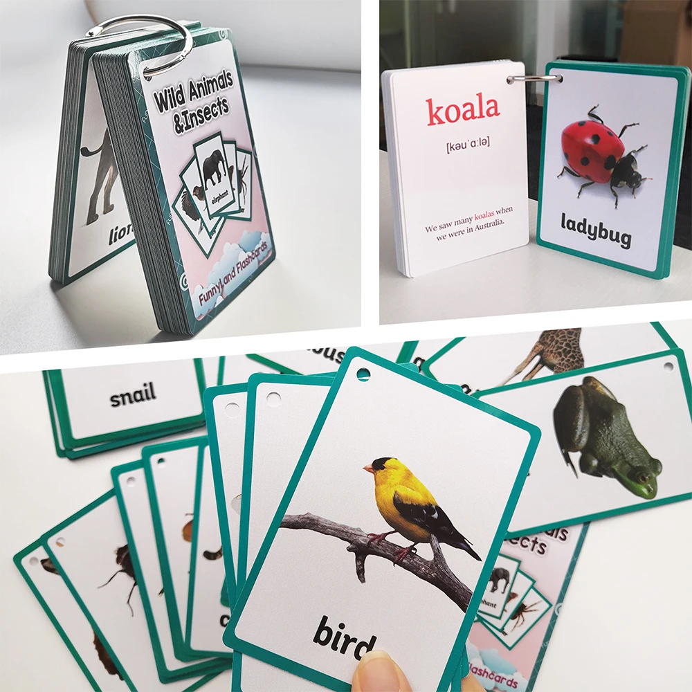 26 موضوعًا للفواكه والخضروات أجزاء الجسم الحيوانات النقل المفردات الإنجليزية البطاقات التعليمية لأنشطة الأطفال بطاقات التعلم