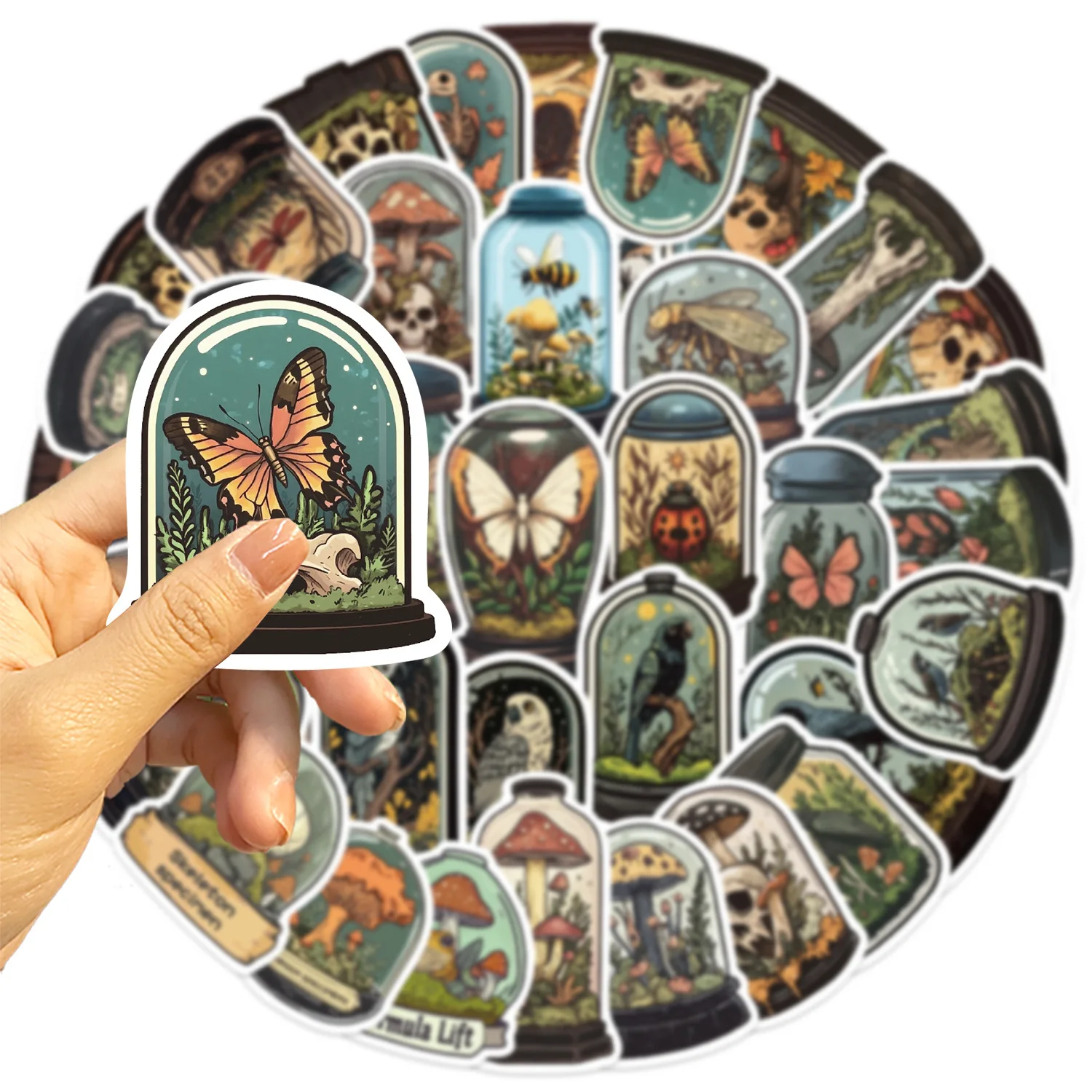 50 ชิ้นการ์ตูน Mystery ขวด, Biological Graffiti สติกเกอร์กีตาร์โน้ตบุ๊คกระเป๋าเดินทาง DIY ขวดน้ําตกแต่งสติกเกอร์กันน้ํา