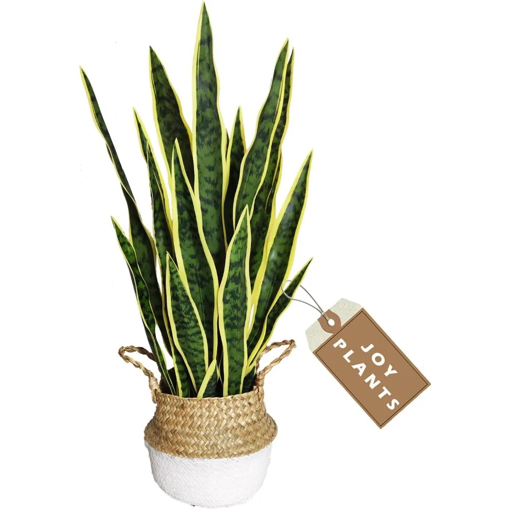 Artificial Snake Plant, 27