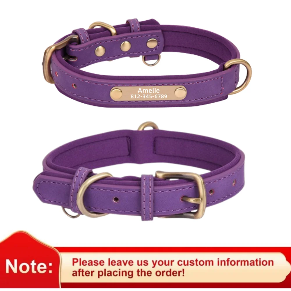 Maßge schneiderte Leder ID Typenschild Hunde halsband verstellbare weich gepolsterte Hunde halsbänder kostenlose Gravur Name für kleine mittelgroße Hunde – Detail 19