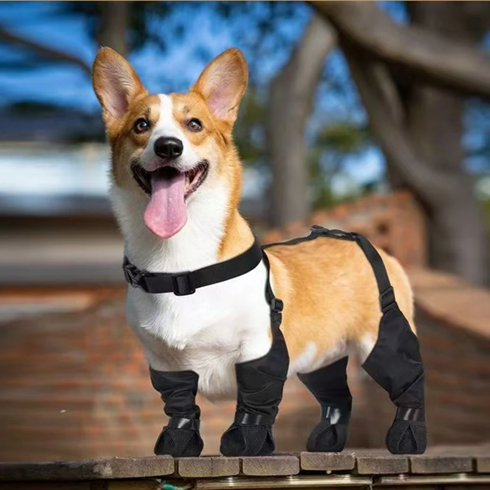 

PARKER Dog Boots Dog Rain Shoes Anti-slip Dirty Shoes Four Seasons Available Multiple Sizes Suitable for Most Dogs Pet Supplies