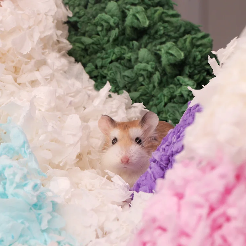 Bukasin Dust Free Hamster Pet Bedding Wholesale Marshmallow Deodorising Paper Cotton Golden Bear Confetti Warmth