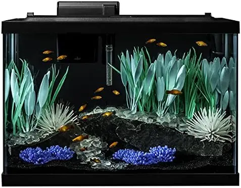Kit acquario ColorFusion da 20 galloni, include illuminazione a LED e arredamento