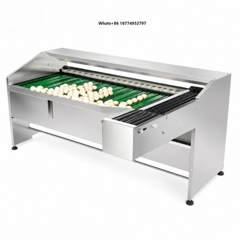 Automatic Mini Egg Candle Sort Clean Grade Pack Table Light and Washing Egg Grader Machine Philippines