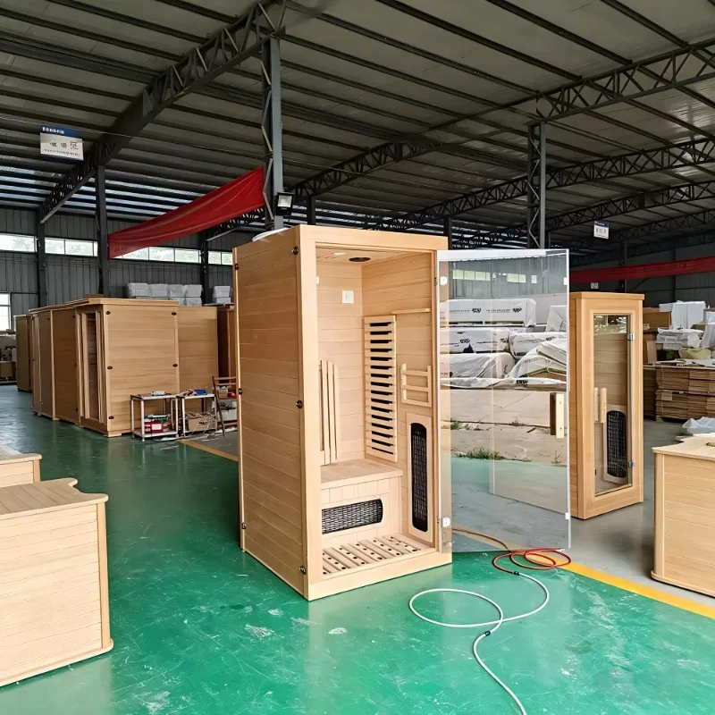Professional Grade Modern 1 Person Indoor Canadian Hemlock Eco-Friendly Electric Dry Steam Sauna Room Panoramic View Gym Use