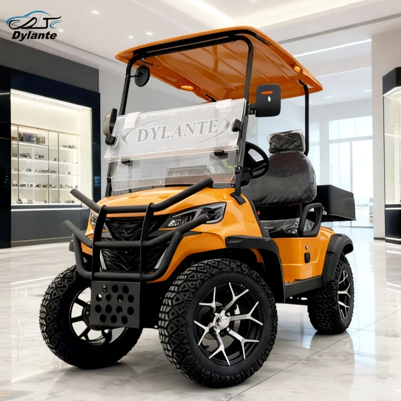Personalized Custom Mini 2 Seat 5kW Electric Golf Cart Low-Price Custom Lithium Battery Van Version Golf Cart Off-Road Legal