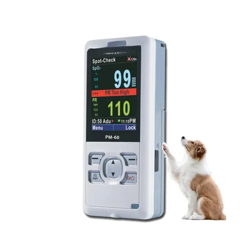 

Popular Used BC2900 Hematology Analyzer, CBC Machine for Veterinary Use