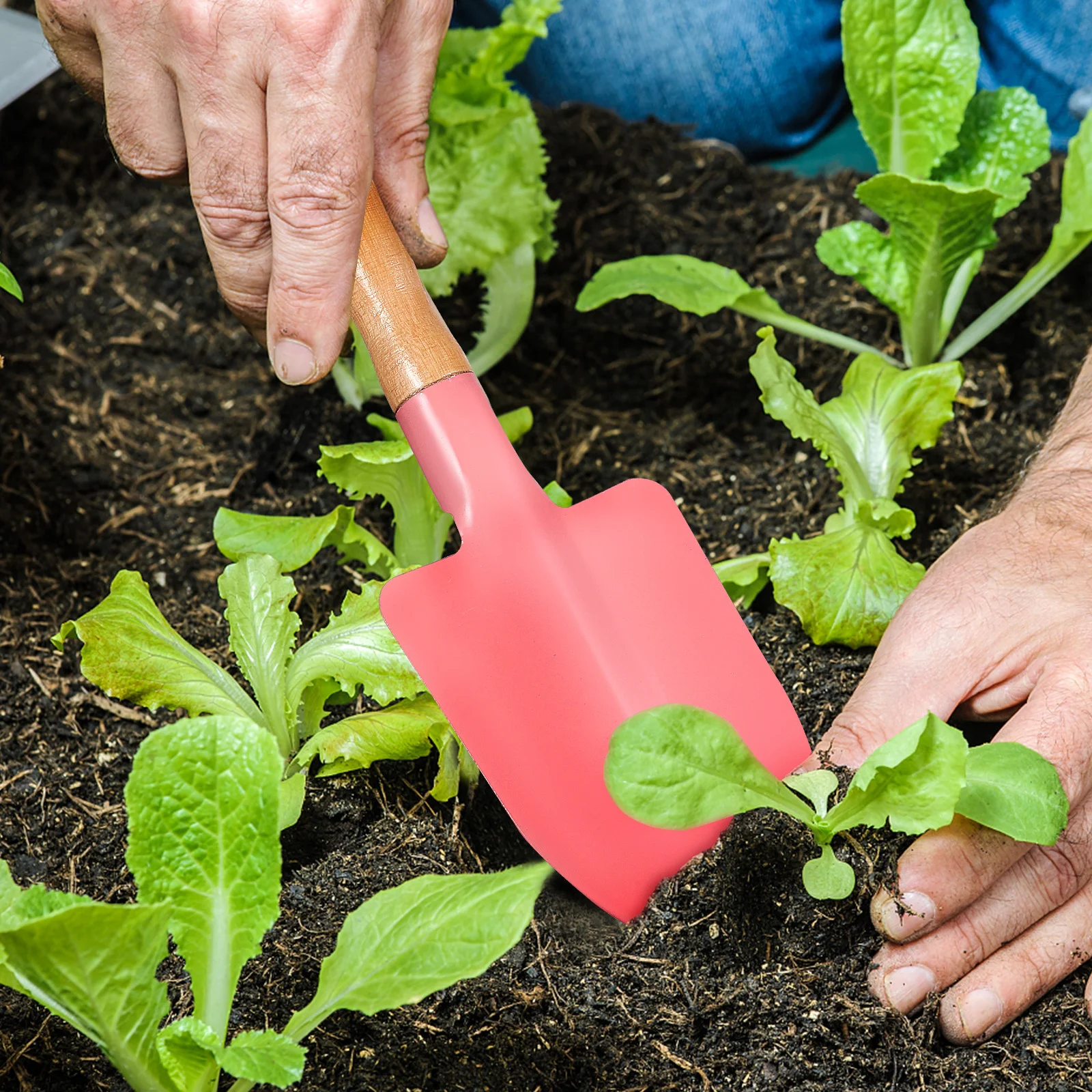 

3pcs Garden Tools Set Mini Stainless Steel Shovel Trowel Rake Wooden Handle For Planting Flower Veggie Gardening Kit Outdoor