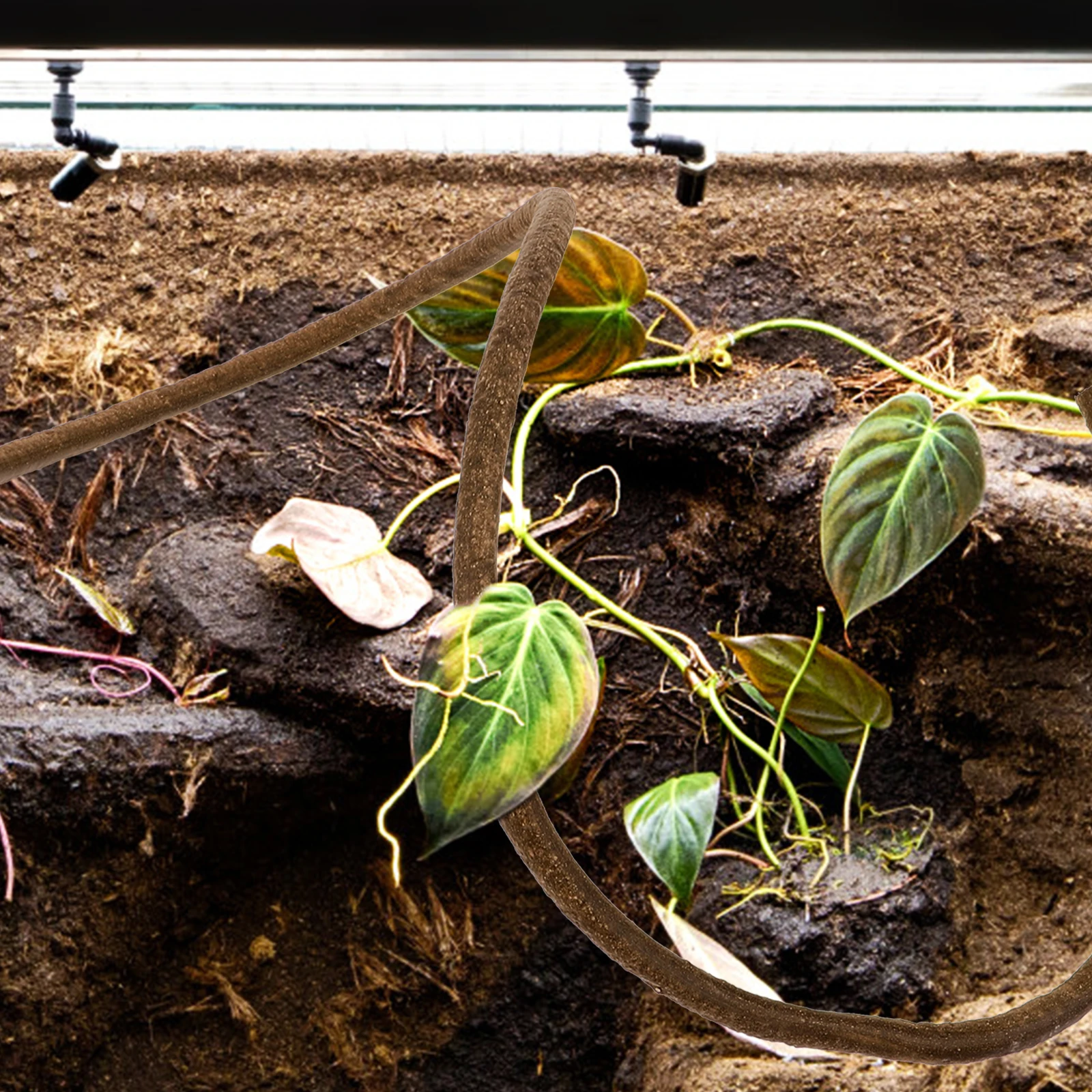 

Simulated Vine Branch 1 Meter Single Fake Vine for Reptile Tank Decor Terrarium Landscaping Pet Supplies Reptile Habitat
