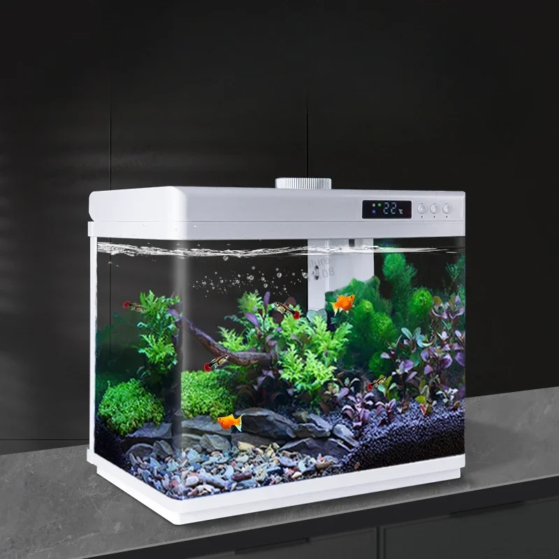 Filtration Loop Fish Tank Ecology Landscaping Aquatic Pet Supplies Cobble Decoration Fish Tank Desktop Aquarium Pour Aquarium