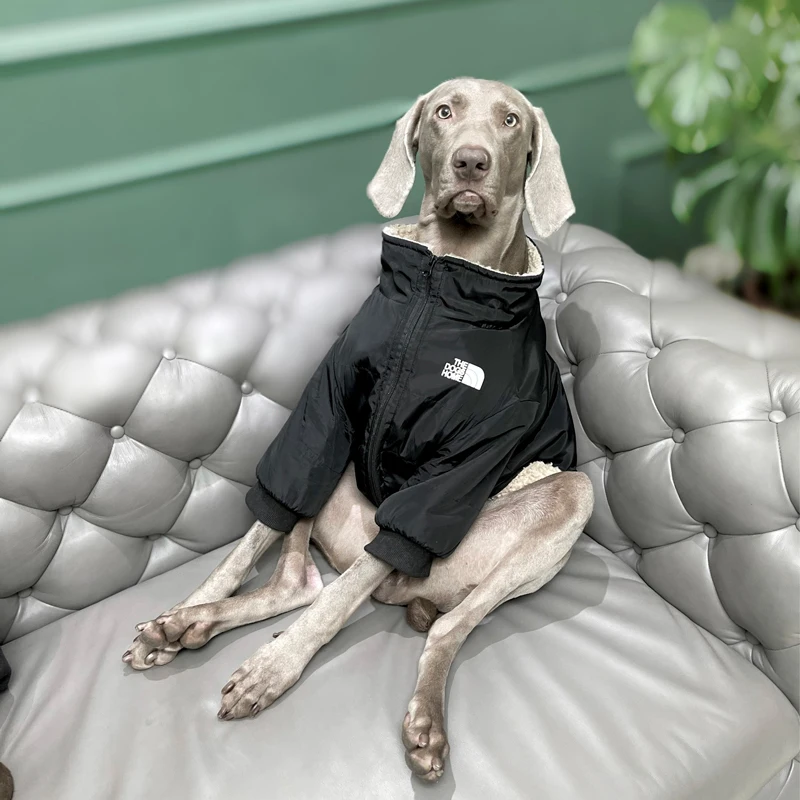 Fashion Waterproof Large Dog Clothes Luxury Warm Big Dog Jacket with Zipper Labrador Golden Retriever Dobermann Clothing