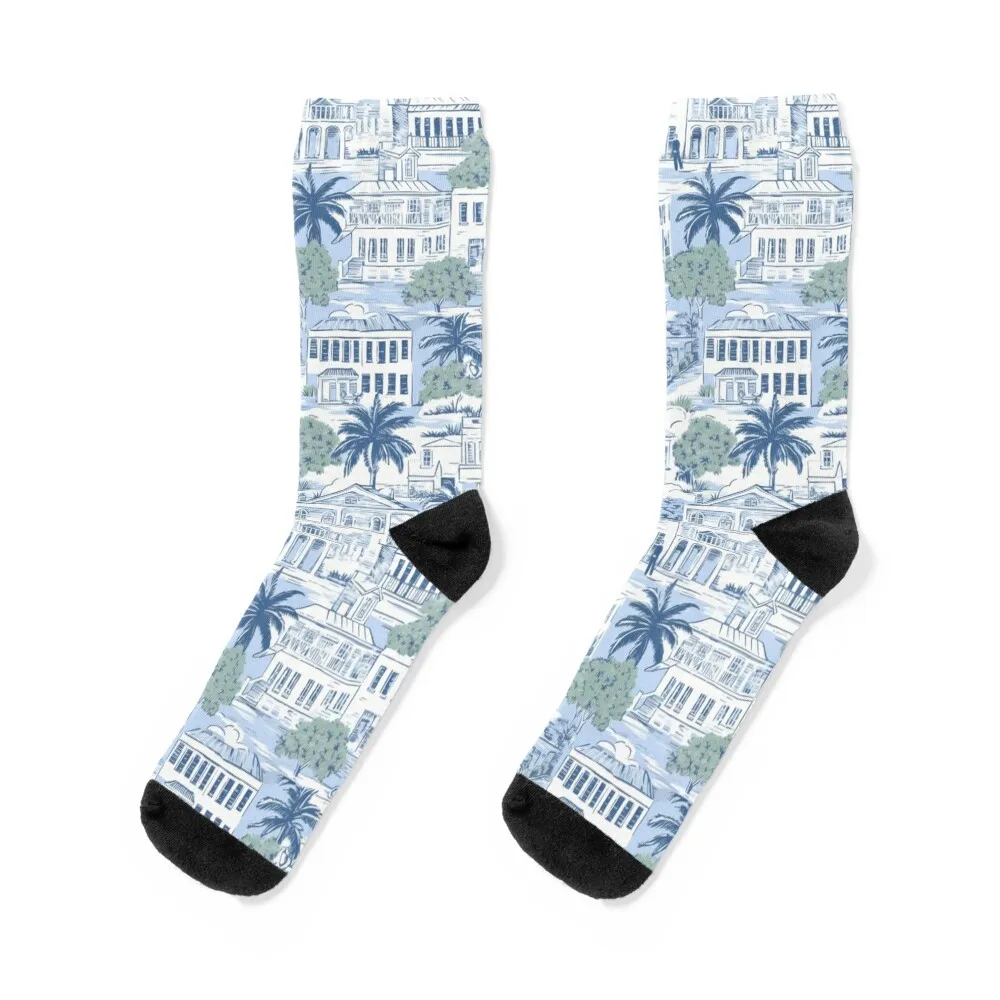 

2.0 Charleston On My Mind - Charleston inspired Toile Socks Running kawaii sports and leisure new in's Ladies Socks Men's