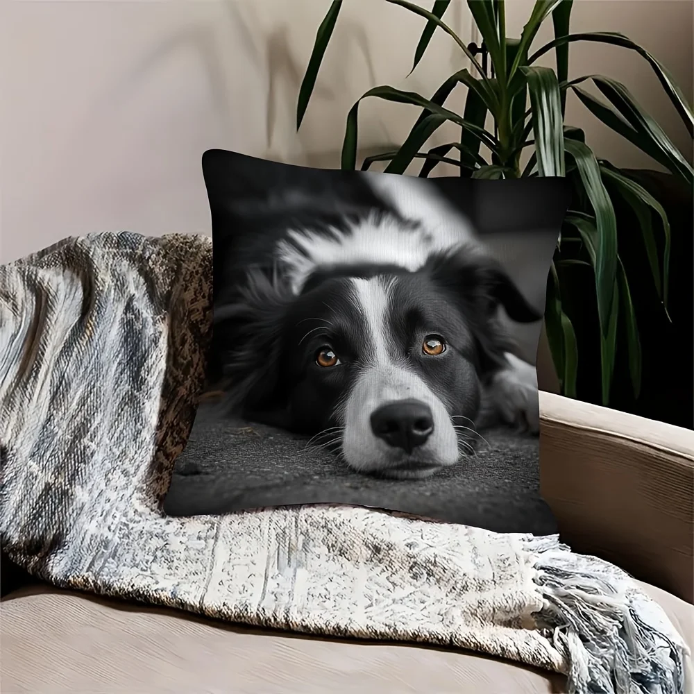 1pc Lying Border Collie Portrait Double‑Sided Print Pillow Cover, Cushion Case for Sofa Bedroom, Insert Not Included, Home Decor