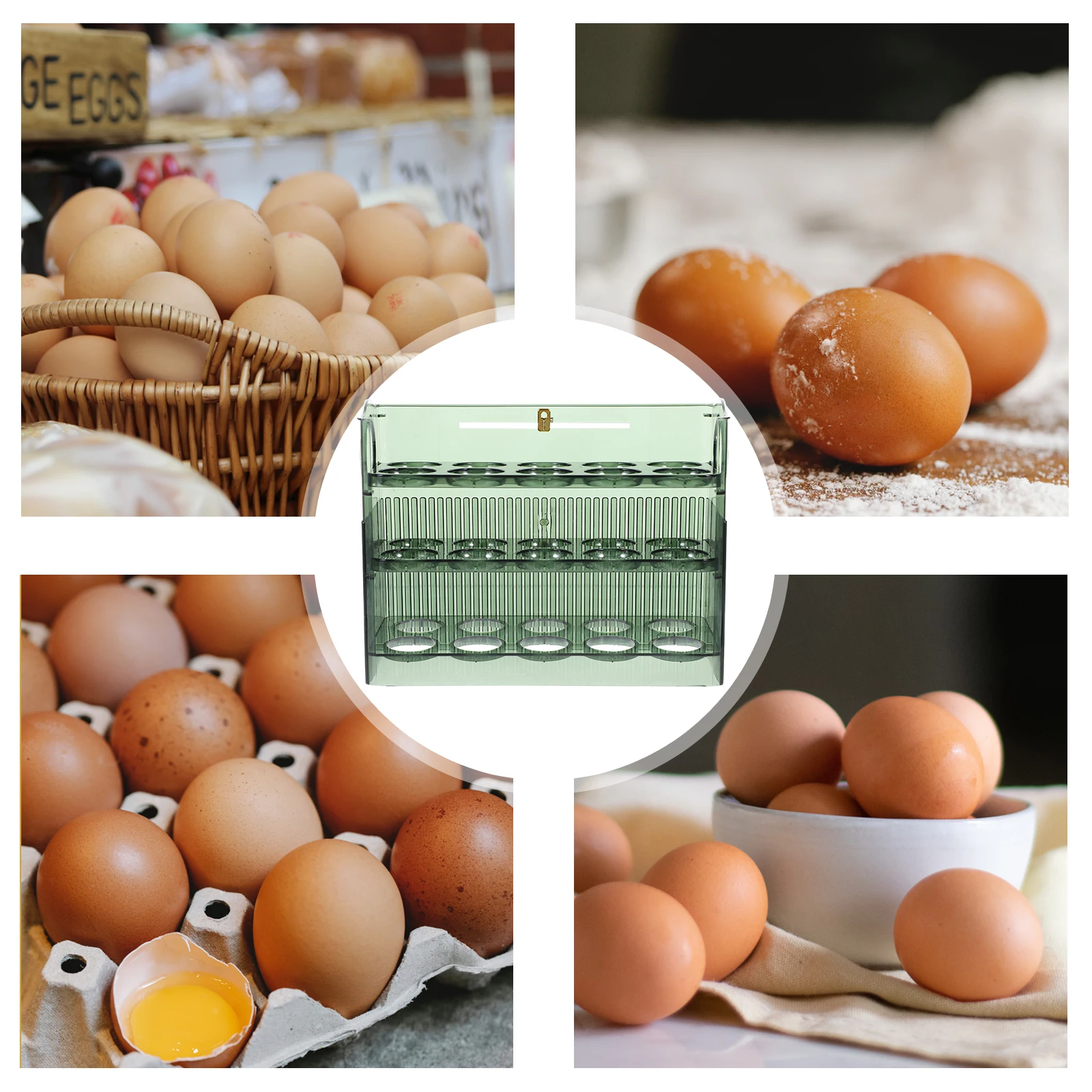 

Storage Container Refrigerator Rack Organizer Fresh Holder Kitchen Household Pet Egg Tray Stand Vertical Egg Box Case