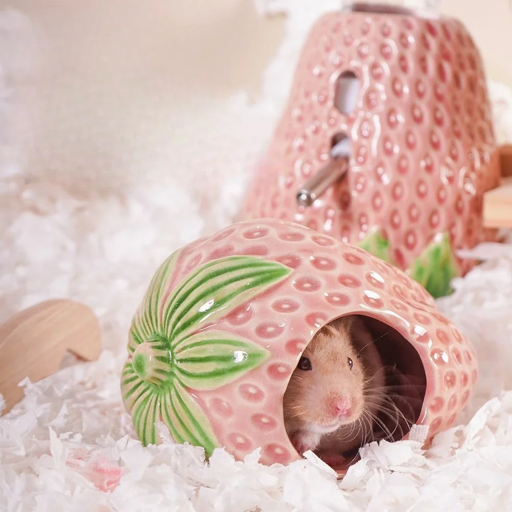 Thumbnail 4 - #7 Trending Hamster Habitats Right Now