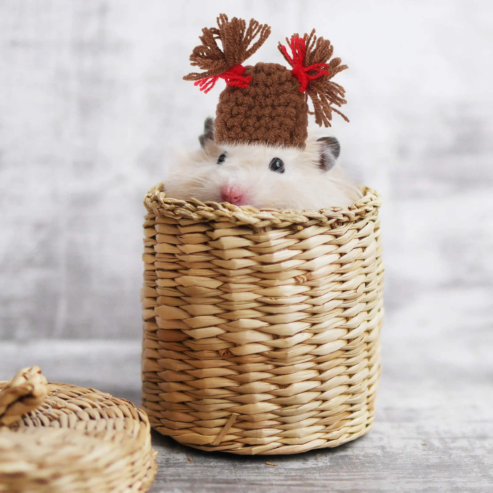

Small Animal Hat Hamster Cute Adjustable Small Pet Knitted Photo Prop Decorative Costume Accessory Hamster Hat
