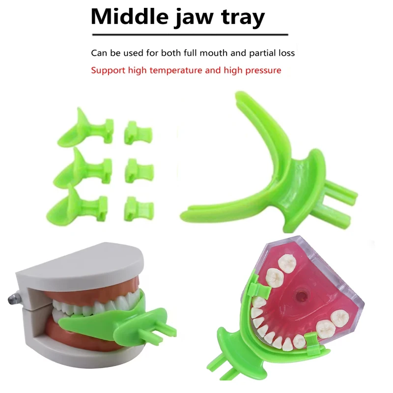 7Pcs/Set Dental BPS Mid Jaw Tray Bite Registration Tray Denture Repair Occlusal Edentulous Jaw Impression Trays Dentist Tool