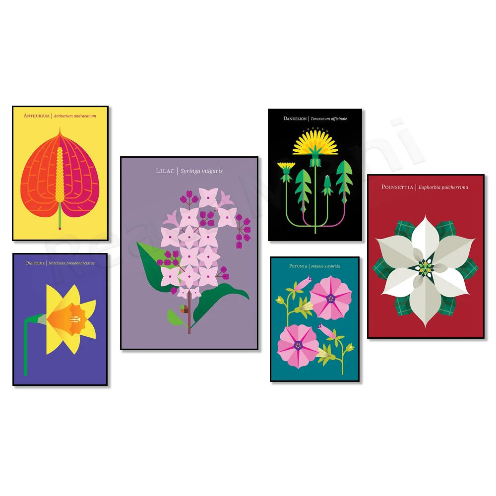 Póster floral botánico moderno, petunia, amapola roja, lirio calla, narciso, lila, diente de león, flor navideña, diseño escandinavo