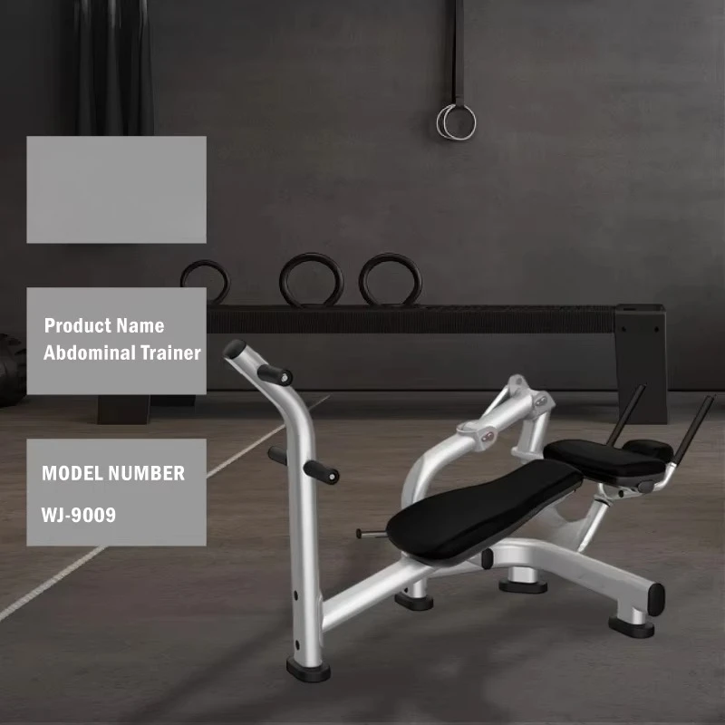 Factory Direct Supplier Gym Fitness Equipment Muscle Training Plate Loaded Abdominal Trainer Workout