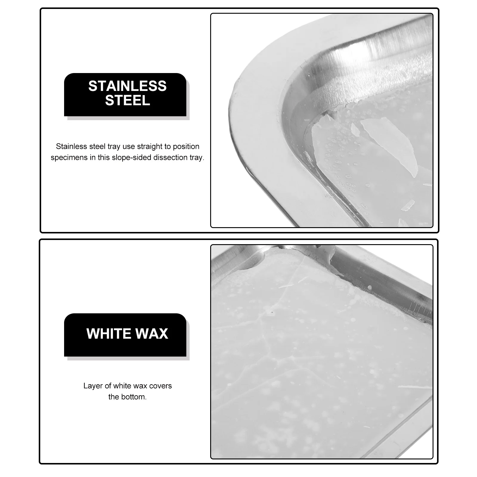 

3Pcs Slope Sided Wax Dissection Tray Stainless Steel White Wax Bottom Biological Laboratory Equipment Classroom Teaching Tool