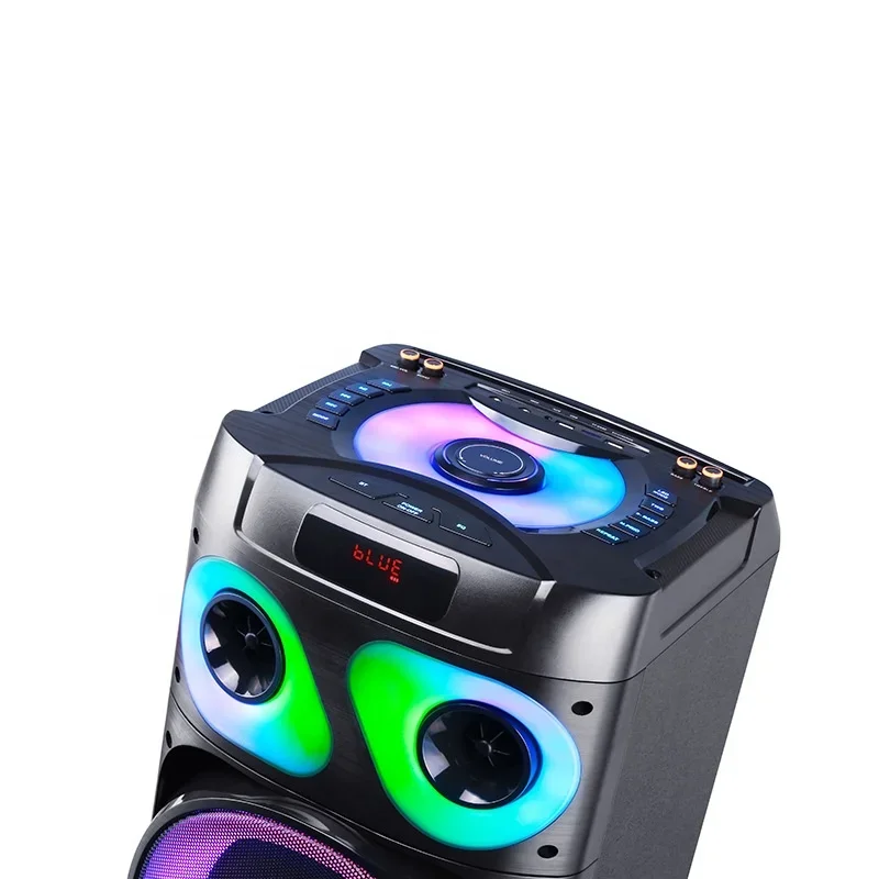 12 Inch*2 BT Speaker RGB LED Light 100W High Power Battery Subwoofer Speaker Remote Control Outdoor Speaker With Mic