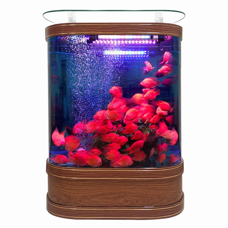 TV Cabinet Fish Tank Living Room New Light Luxury Floor Self-Circulation Ecological Change Water Integrated