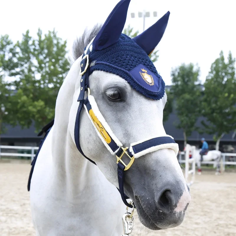 Attrezzatura equestre della copertura della gabbia del cavallo della cavezza resistente all'usura