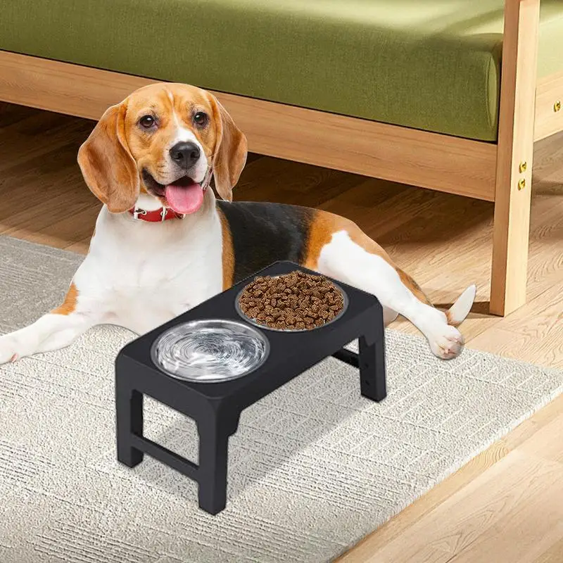 Dog Bowl with Stand Stainless Steel Food Water Elevated Dish for Pet with Stand Heavy Weighted Double Pet Dish for Easy