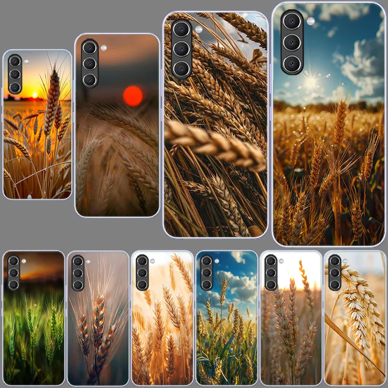 Mature Wheat Grains Phone Case for Samsung A54 A14 A24 A34 5G Galaxy A02S A03S A04S A12 A22 A32 A52 A72 A13 A23 A33 A53 A73 A42