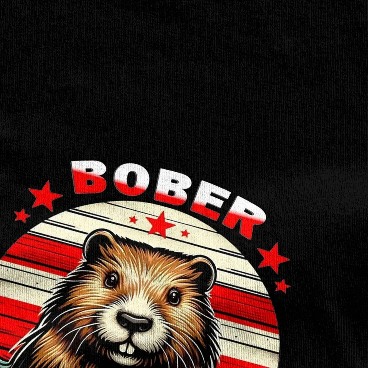 Bobr Kurwa T-Shirts Heren 100% Katoenen Kleding Grappige Ronde Hals Korte Mouw