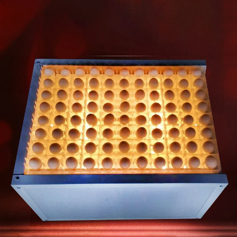 

Egg Candling Box LED Cold Light Egg Candler for Incubator Egg Inspection Tool High Brightness Time Saving for Chicken Duck Eggs