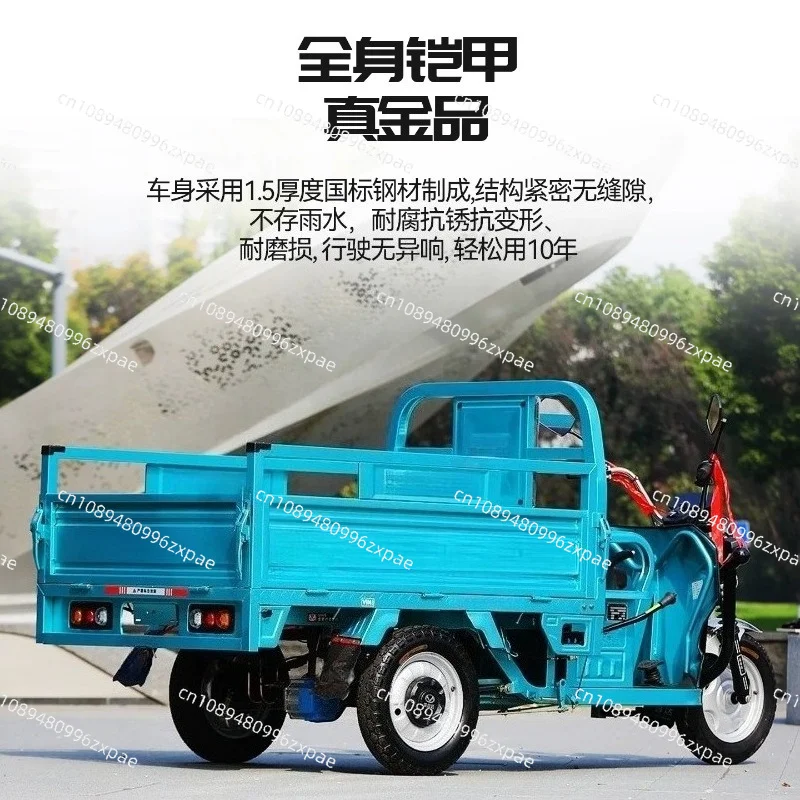 Electric Tricycle Agricultural Cargo Electric Vehicle Steel Plate Carriage Home Stall Cargo Mountain Climbing Version