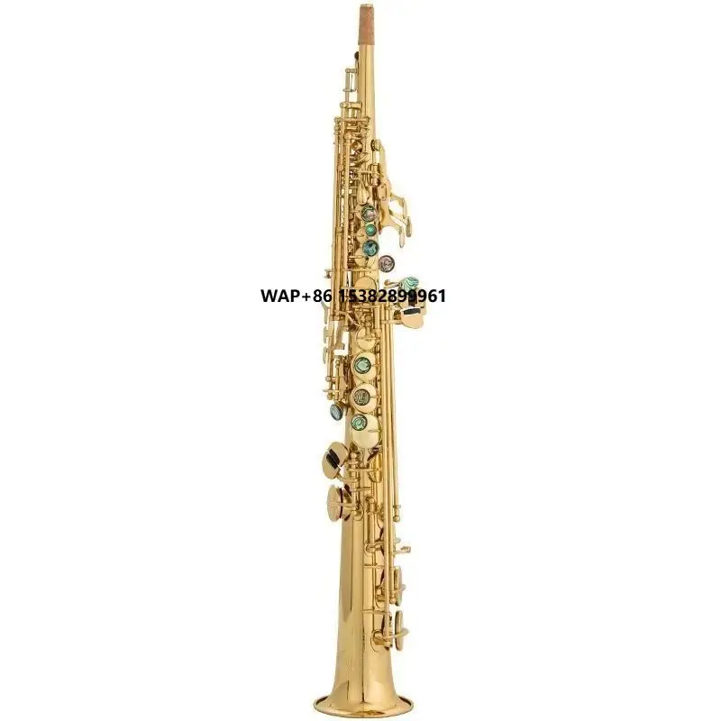 

Salinte B Tone Customizable High Saxophone Double Curved Neck Straight Tube for Adult Beginners and Examinations