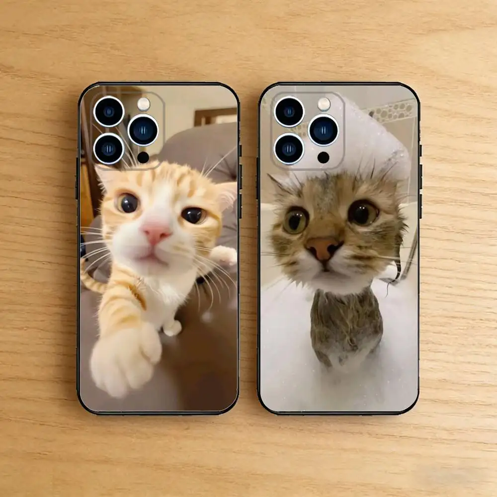 

Funny Cat Memes Case For iPhone 17 16 15 14 13 12 11 Pro Max XR XS 8 7 Plus 16E Soft Silicone Cover