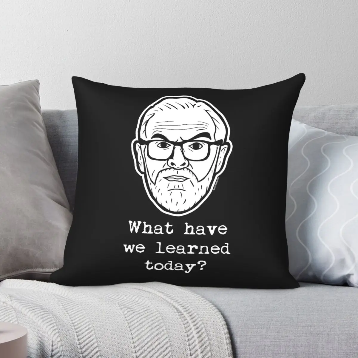 Taskmaster What Have We Learned Today Square Pillowcase Polyester Linen Velvet Pattern Zip Decorative Sofa Cushion Cover 18