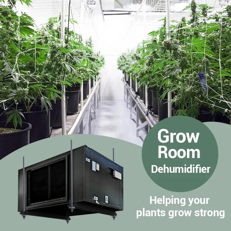 Preair 480L/Day Greenhouse Grow Room Industrial Mounted Ceiling Dehumidifier