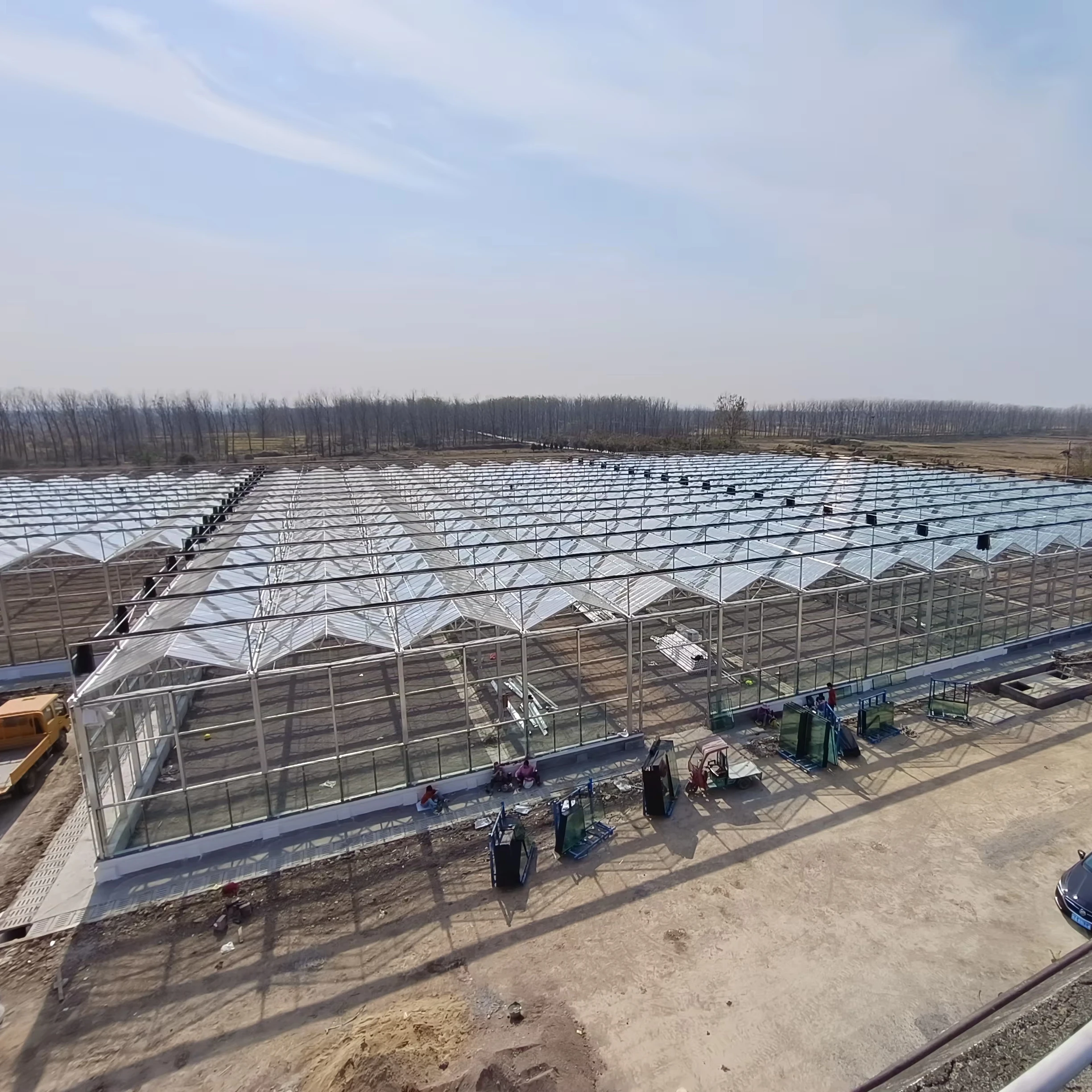 

Customized greenhouseHydroponic Glass Greenhouse with Vertical Farming Design Green House for Vegetables