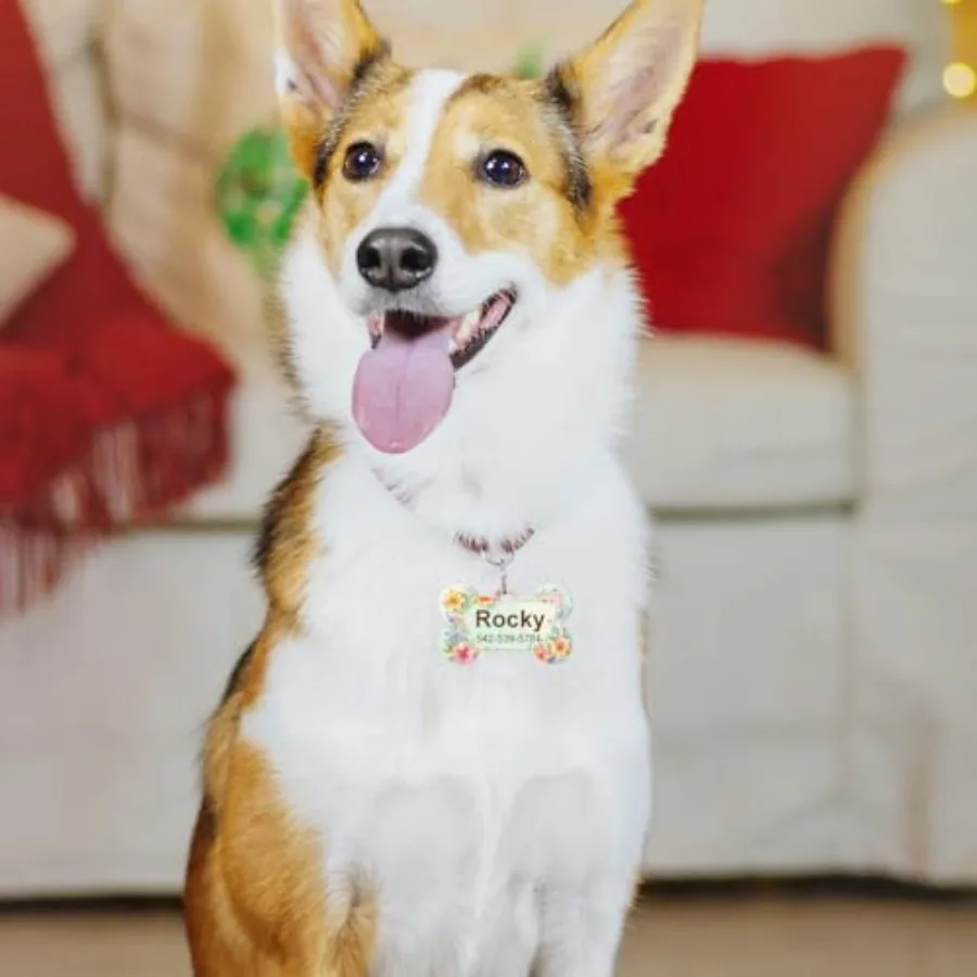 30 قطعة علامة الكلب الألومنيوم التسامي مع 20 قطعة حلقة مزدوجة الوجهين نقل العلامات DIY بها بنفسك الكلاب الحيوانات الأليفة معرف لي العلامة #5