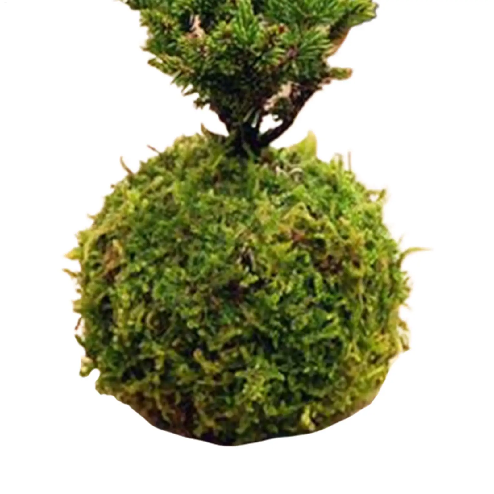 Green Moss Planter Natural Flower Planter Moss Weave Garden Decor Green Plant Holder For Gardening Table Decorations