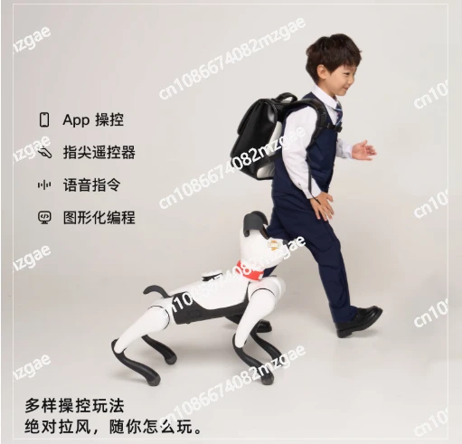 Technical Intelligent Robot Dogs, The New Generation of Artificial Intelligence, Ke Technical