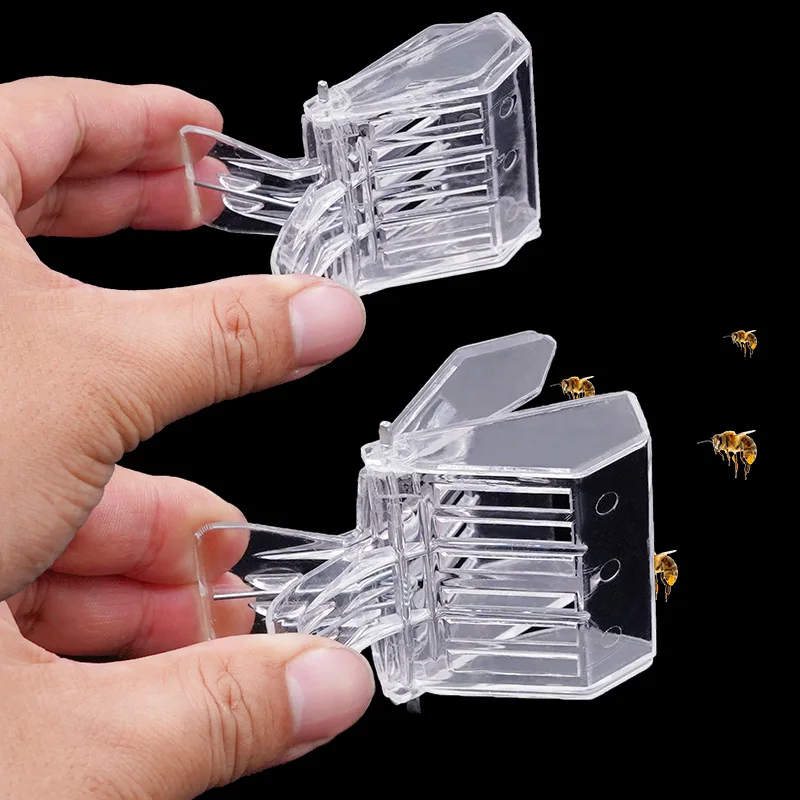 4pcs Bee Queen Cage Transparent Plastic Clip Cage Bee Catcher Box Beekeeping Equipments Tools Beekeeper Equip Isolation Room