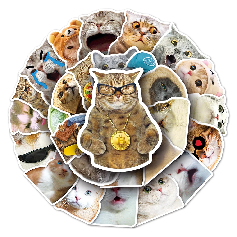 

10/30/50pcs Classic Animal Cat Meme Stickers Funny Cartoon Decals Skateboard Phone Guitar Diary Cute Graffiti Sticker Wholesale